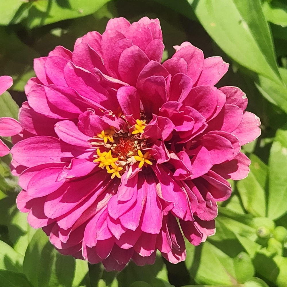 Meet your Posher, Nora